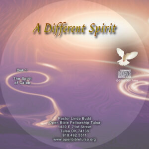 Different Spirit
