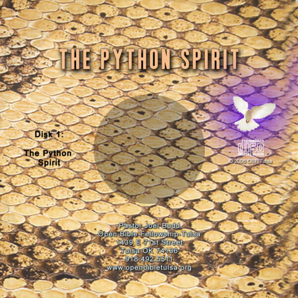 The Python Spirit